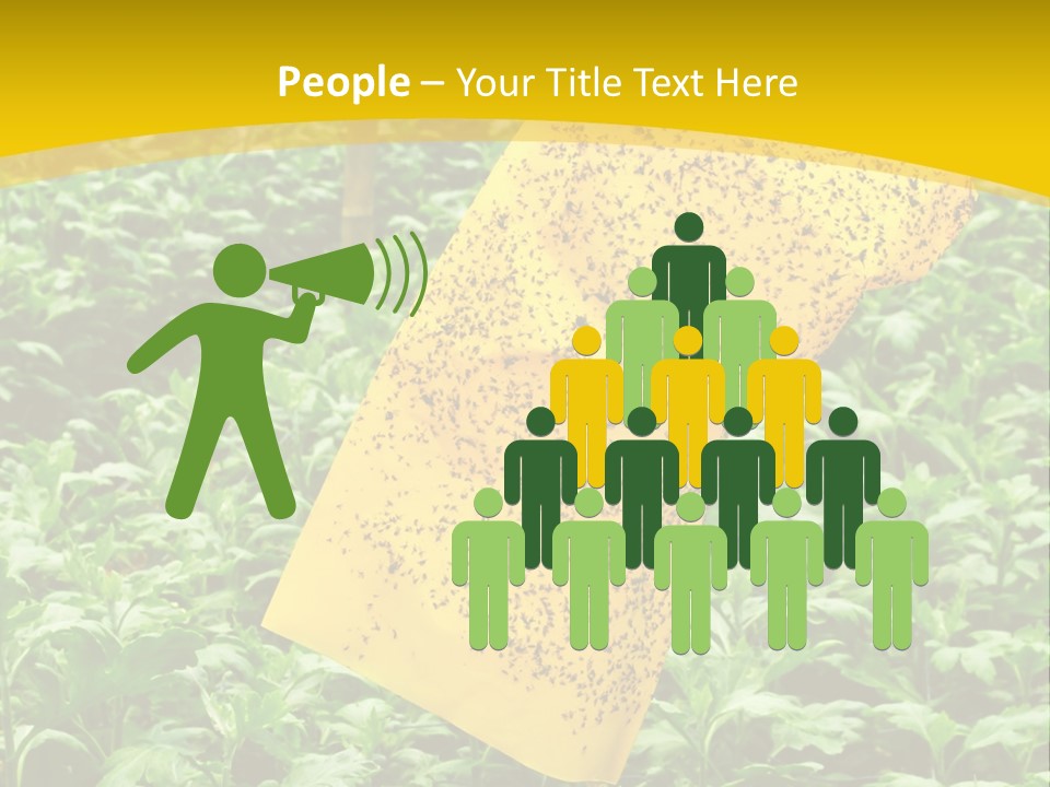 Enigma Mystery Inconsistency PowerPoint Template