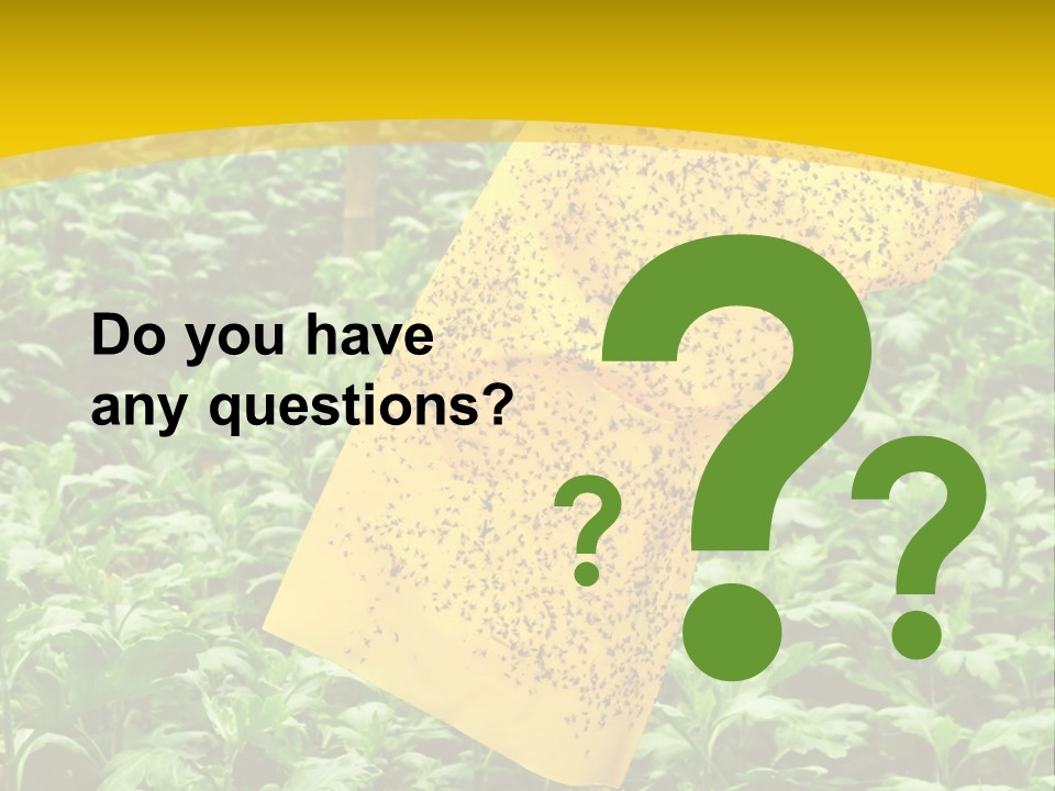 Enigma Mystery Inconsistency PowerPoint Template