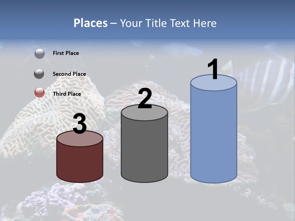 Marine Reef Structure PowerPoint Template