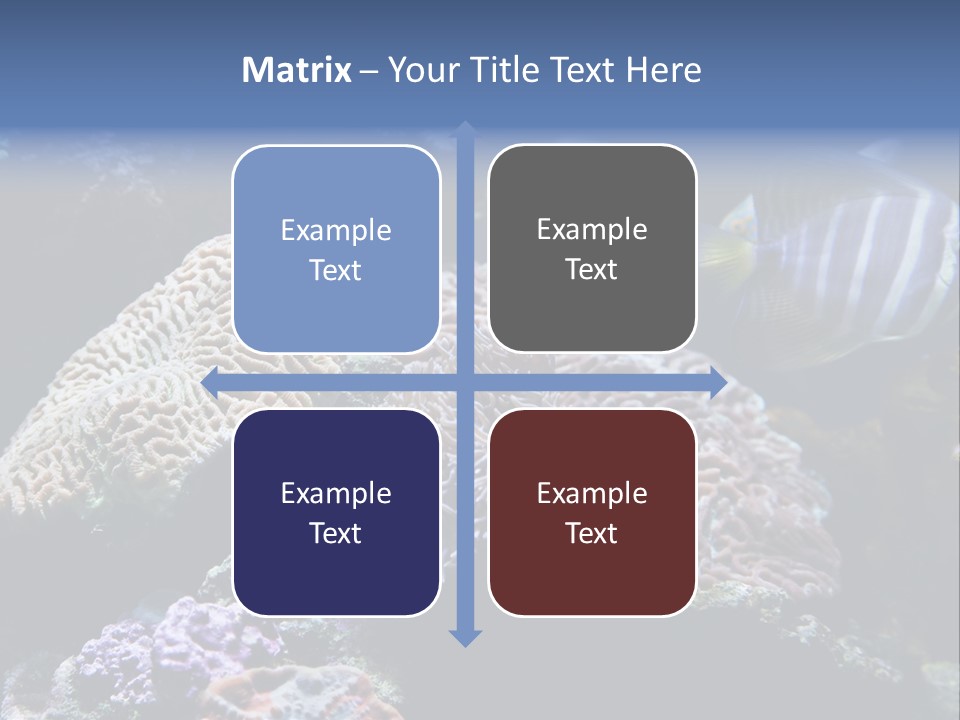 Marine Reef Structure PowerPoint Template