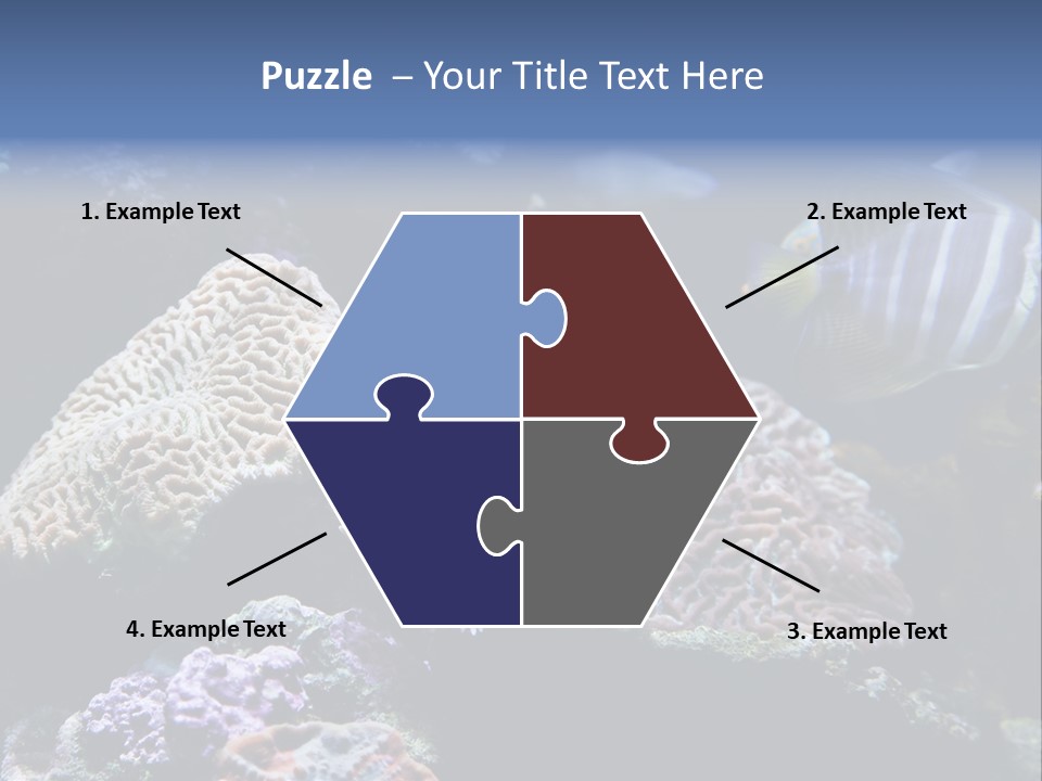 Marine Reef Structure PowerPoint Template