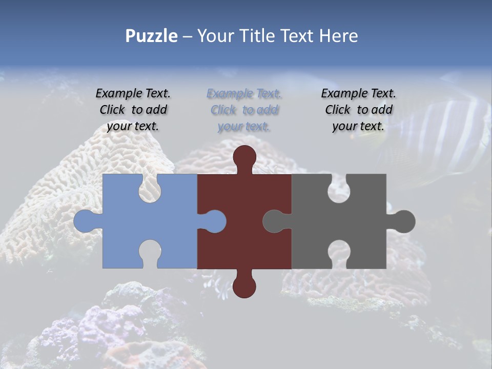 Marine Reef Structure PowerPoint Template