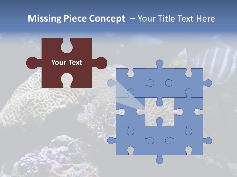 Marine Reef Structure PowerPoint Template