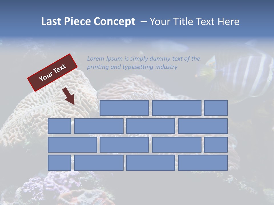 Marine Reef Structure PowerPoint Template