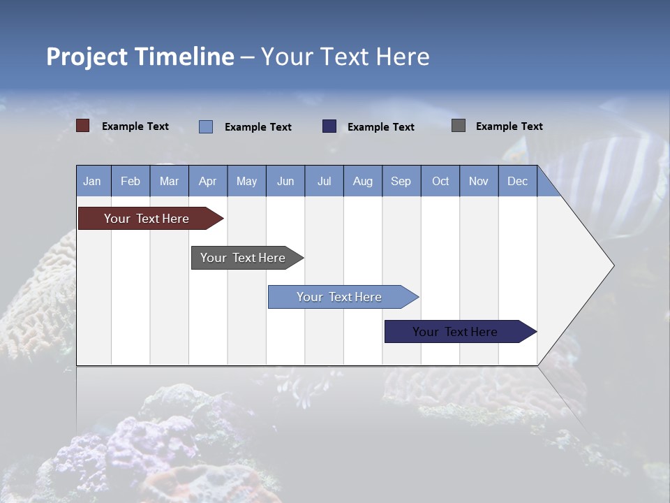 Marine Reef Structure PowerPoint Template