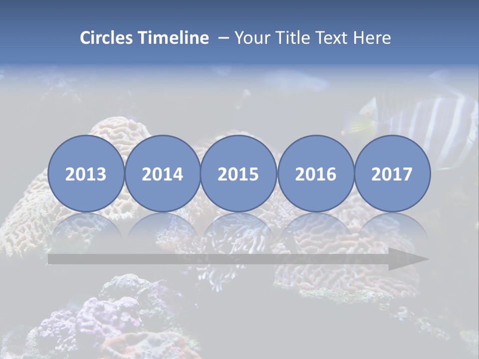 Marine Reef Structure PowerPoint Template