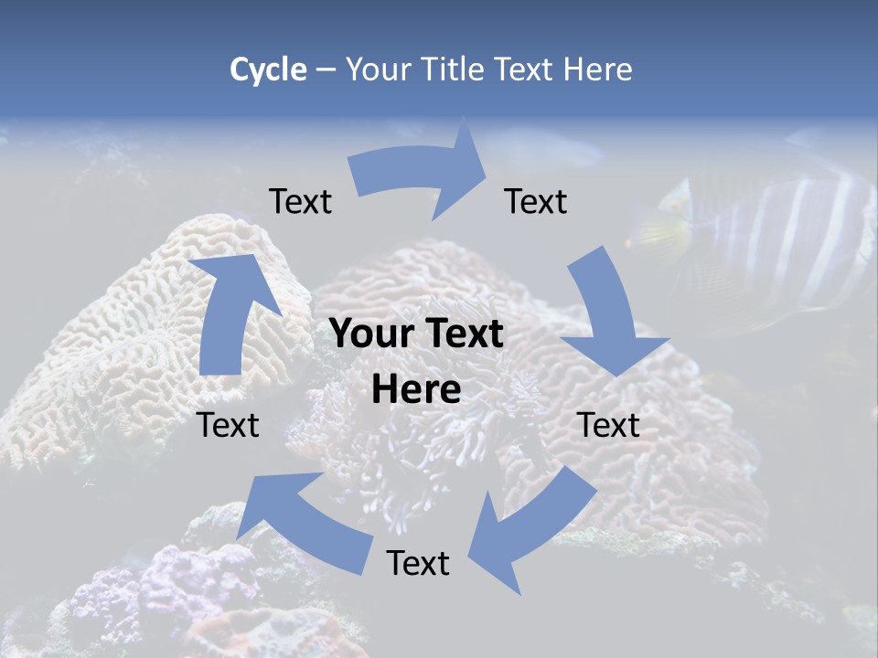 Marine Reef Structure PowerPoint Template