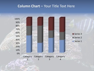 Marine Reef Structure PowerPoint Template