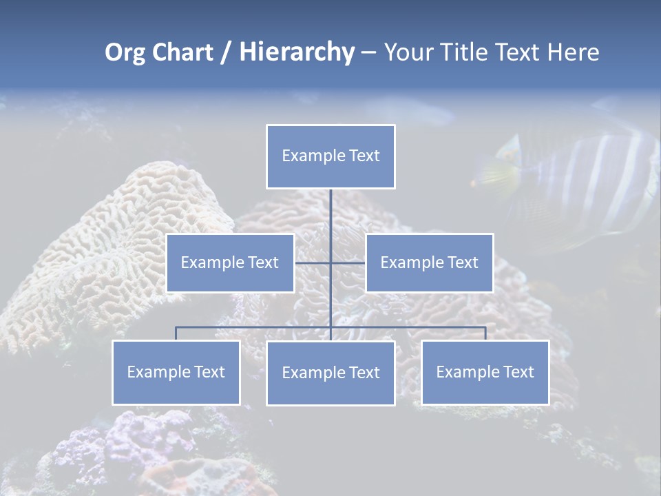 Marine Reef Structure PowerPoint Template