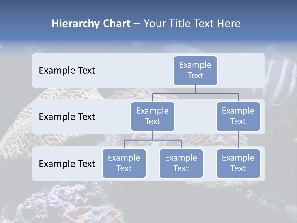 Marine Reef Structure PowerPoint Template