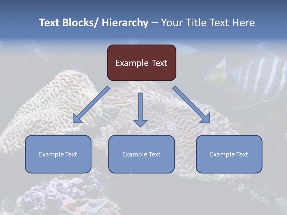 Marine Reef Structure PowerPoint Template