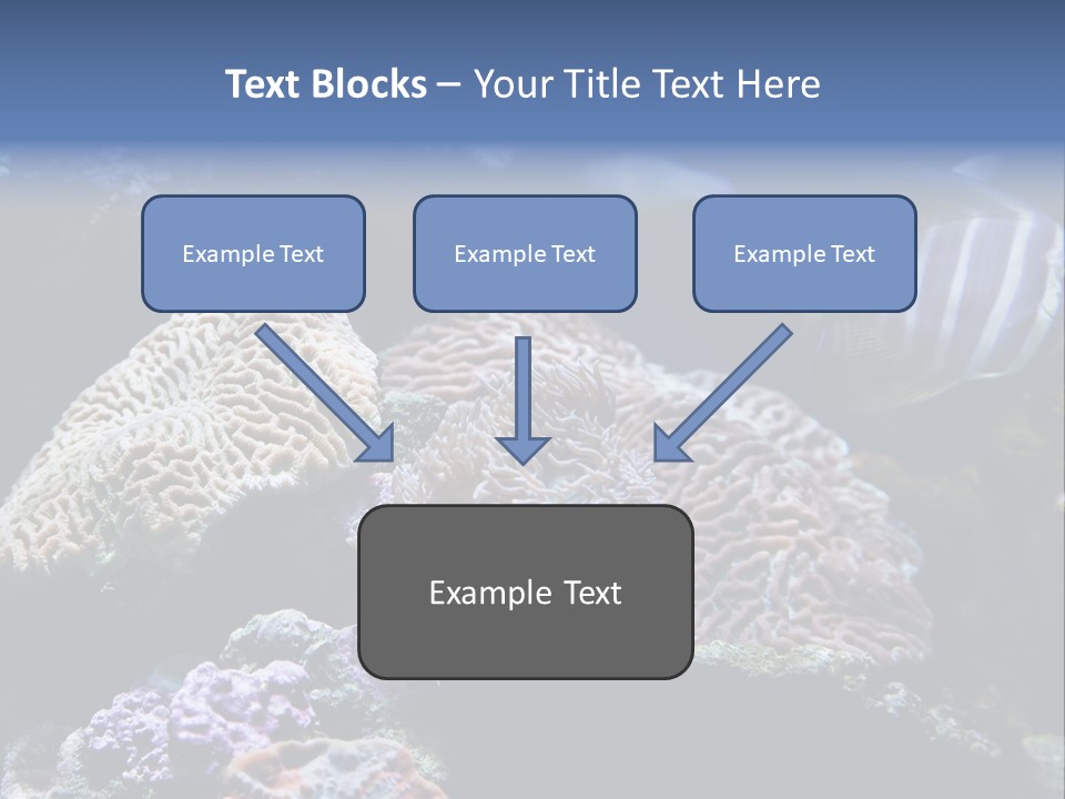 Marine Reef Structure PowerPoint Template