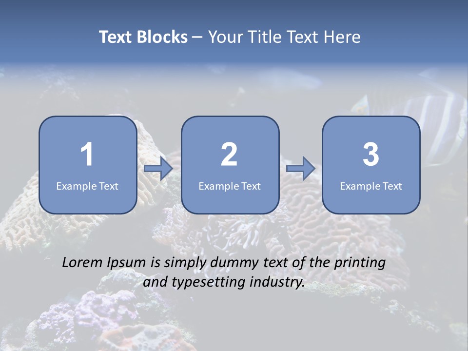 Marine Reef Structure PowerPoint Template