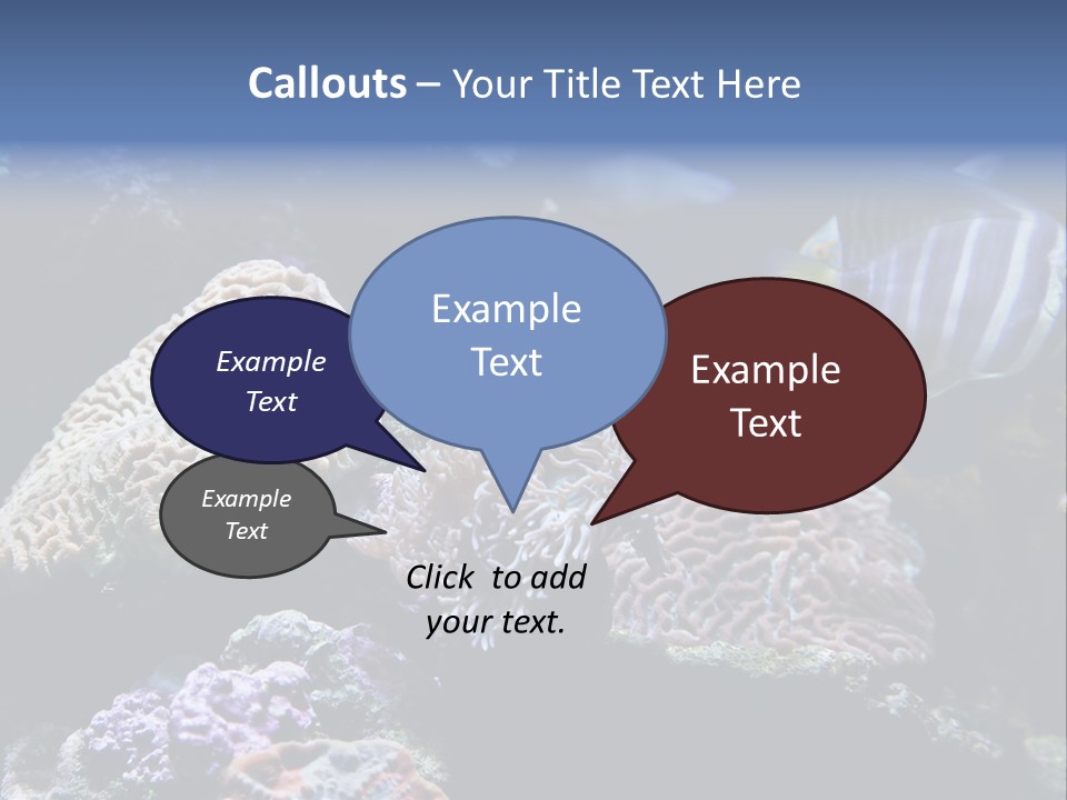 Marine Reef Structure PowerPoint Template