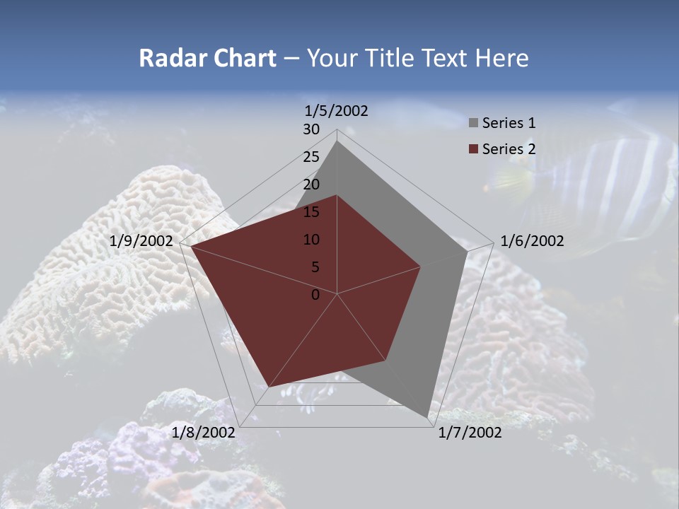 Marine Reef Structure PowerPoint Template