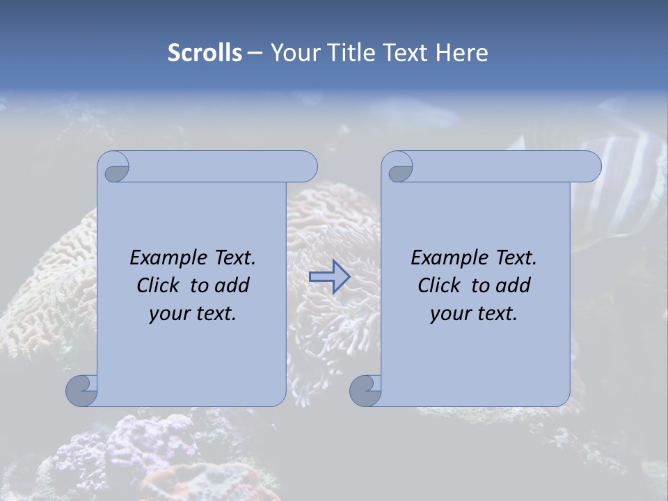 Marine Reef Structure PowerPoint Template