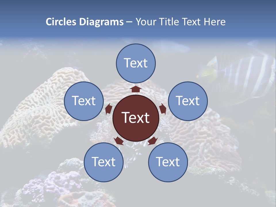 Marine Reef Structure PowerPoint Template