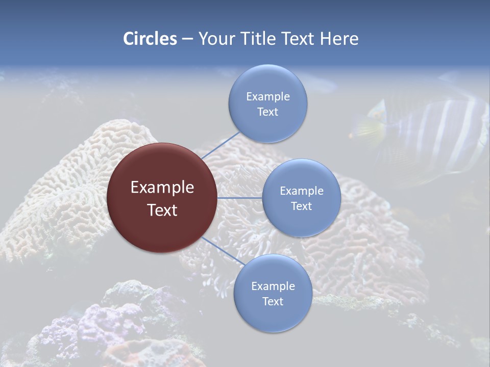 Marine Reef Structure PowerPoint Template