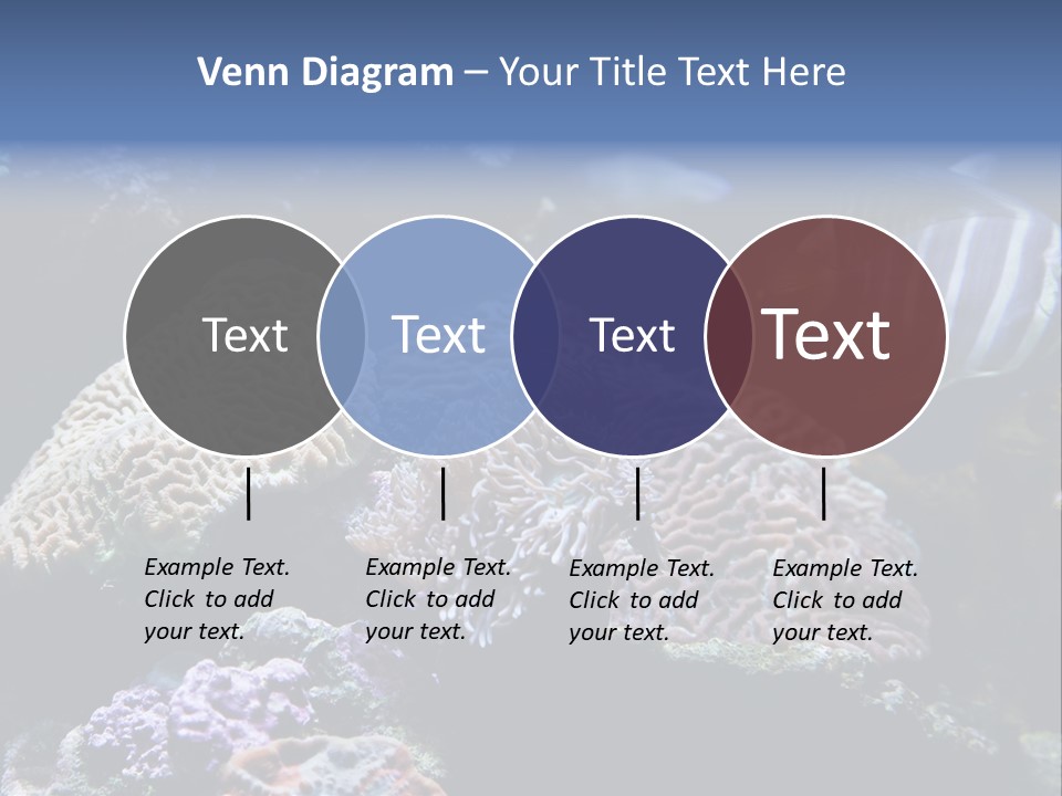 Marine Reef Structure PowerPoint Template