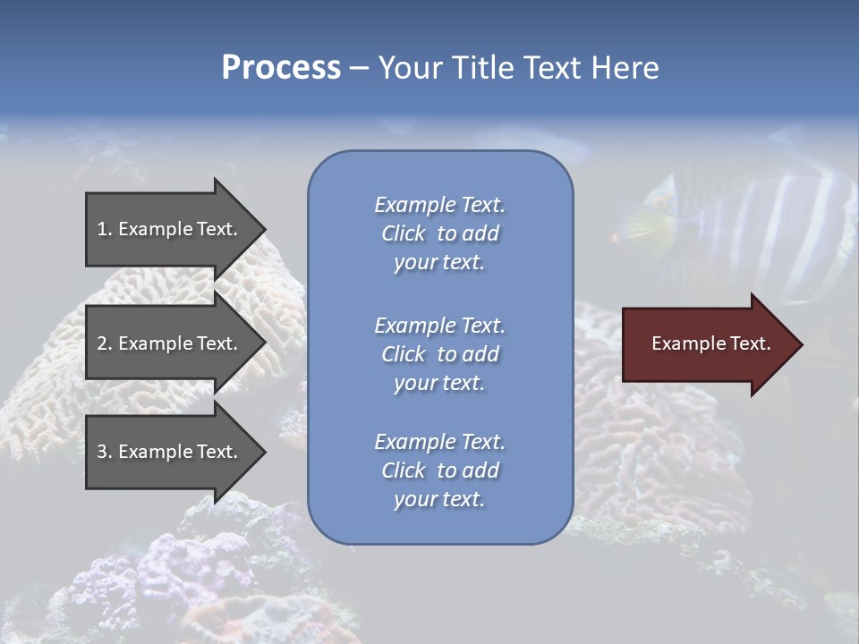 Marine Reef Structure PowerPoint Template