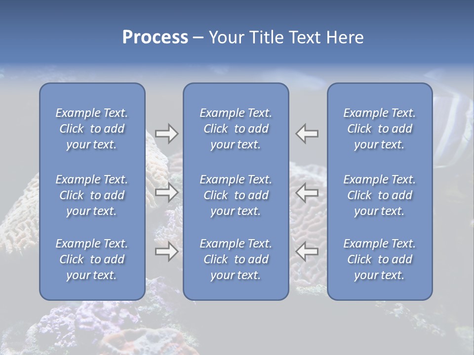 Marine Reef Structure PowerPoint Template