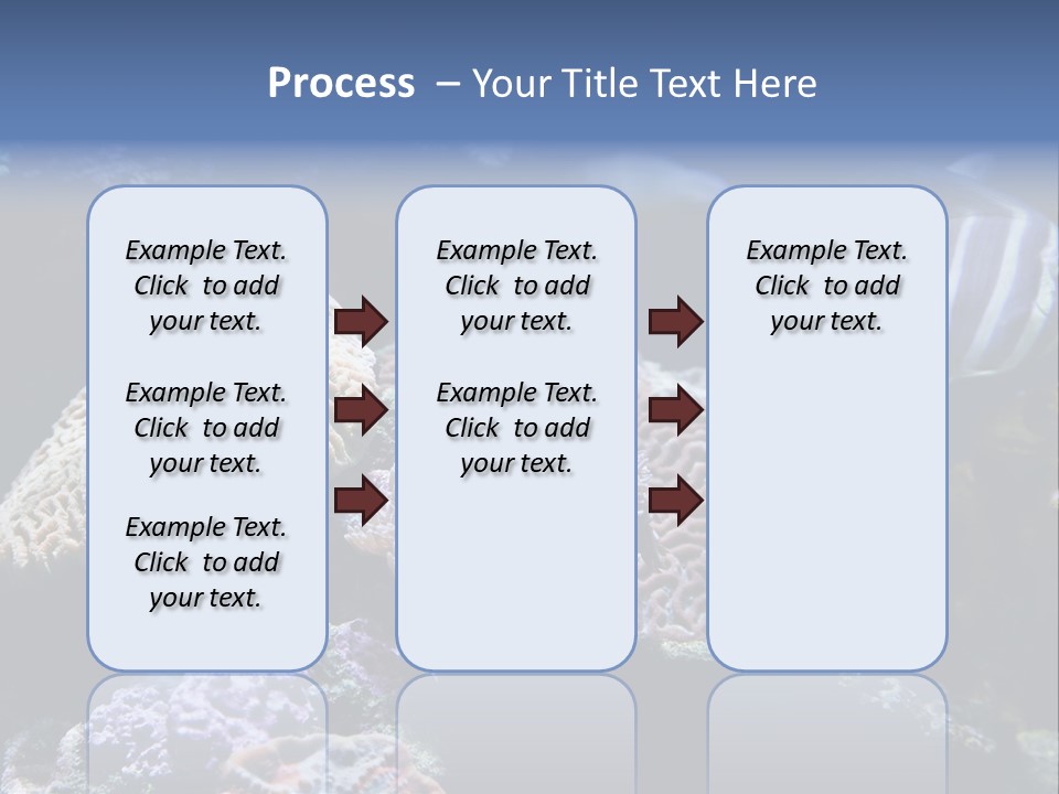 Marine Reef Structure PowerPoint Template