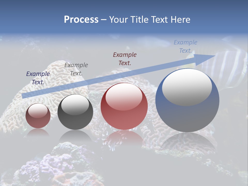 Marine Reef Structure PowerPoint Template