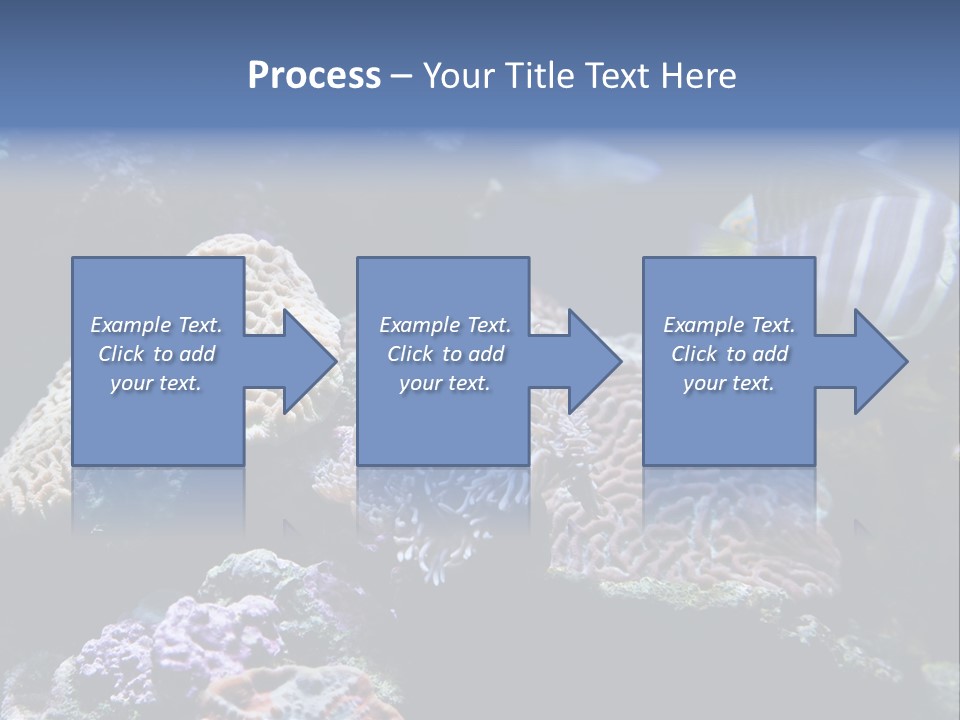 Marine Reef Structure PowerPoint Template