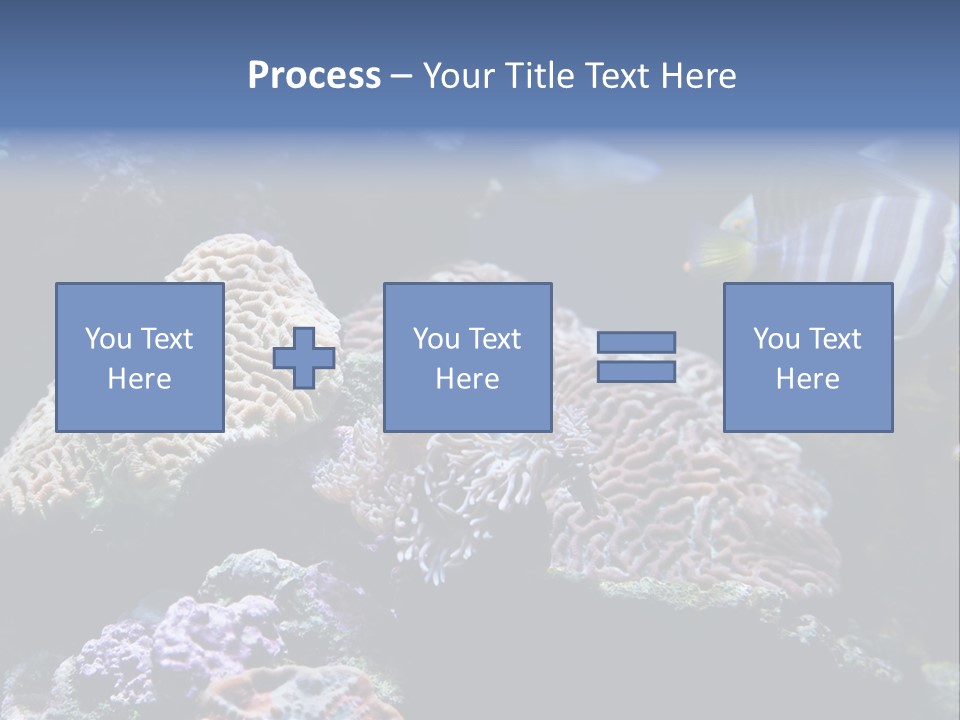 Marine Reef Structure PowerPoint Template