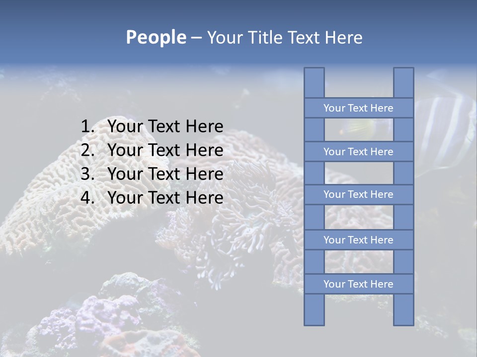 Marine Reef Structure PowerPoint Template
