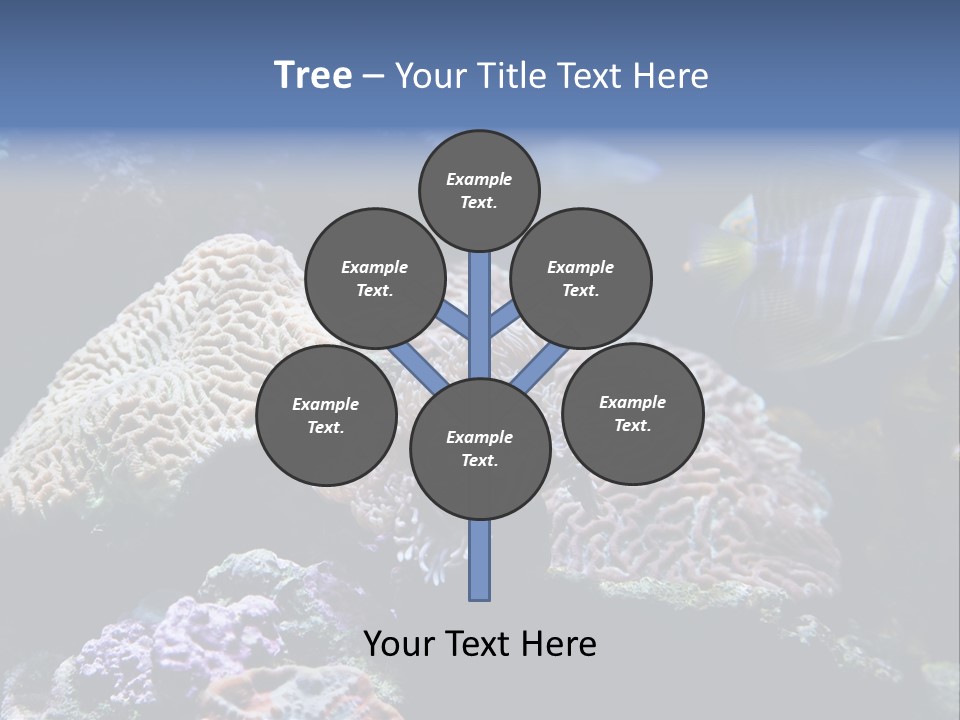 Marine Reef Structure PowerPoint Template