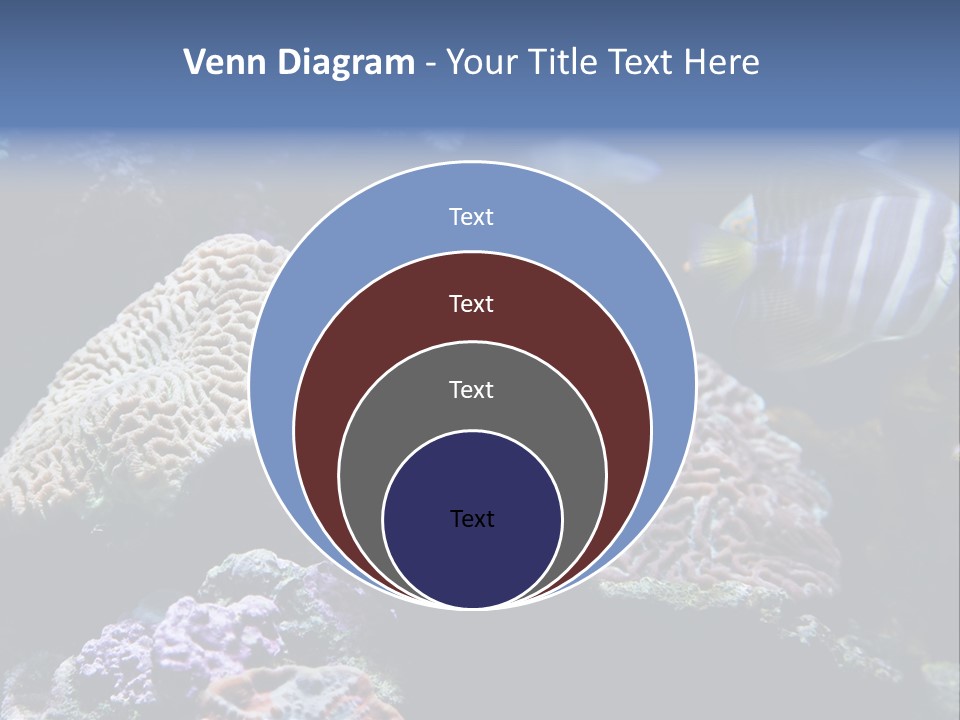 Marine Reef Structure PowerPoint Template