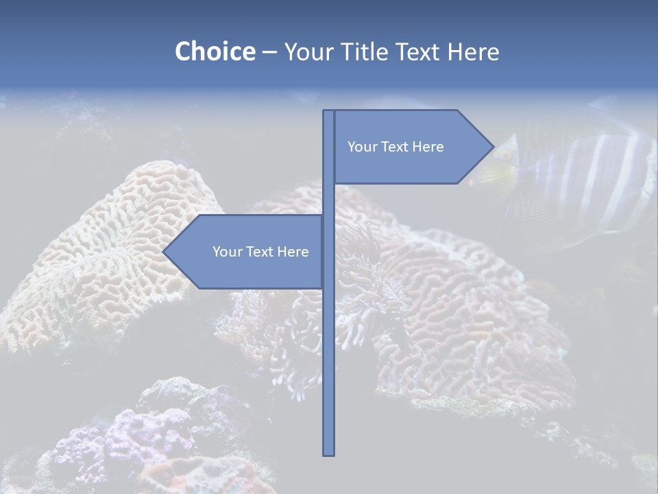 Marine Reef Structure PowerPoint Template