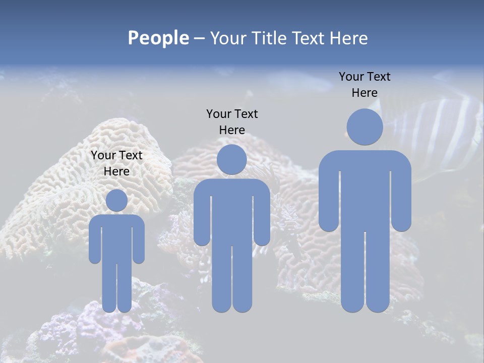 Marine Reef Structure PowerPoint Template