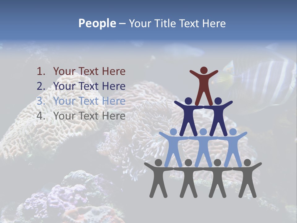 Marine Reef Structure PowerPoint Template