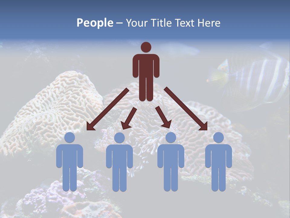 Marine Reef Structure PowerPoint Template