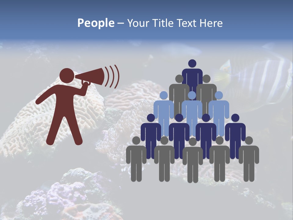 Marine Reef Structure PowerPoint Template