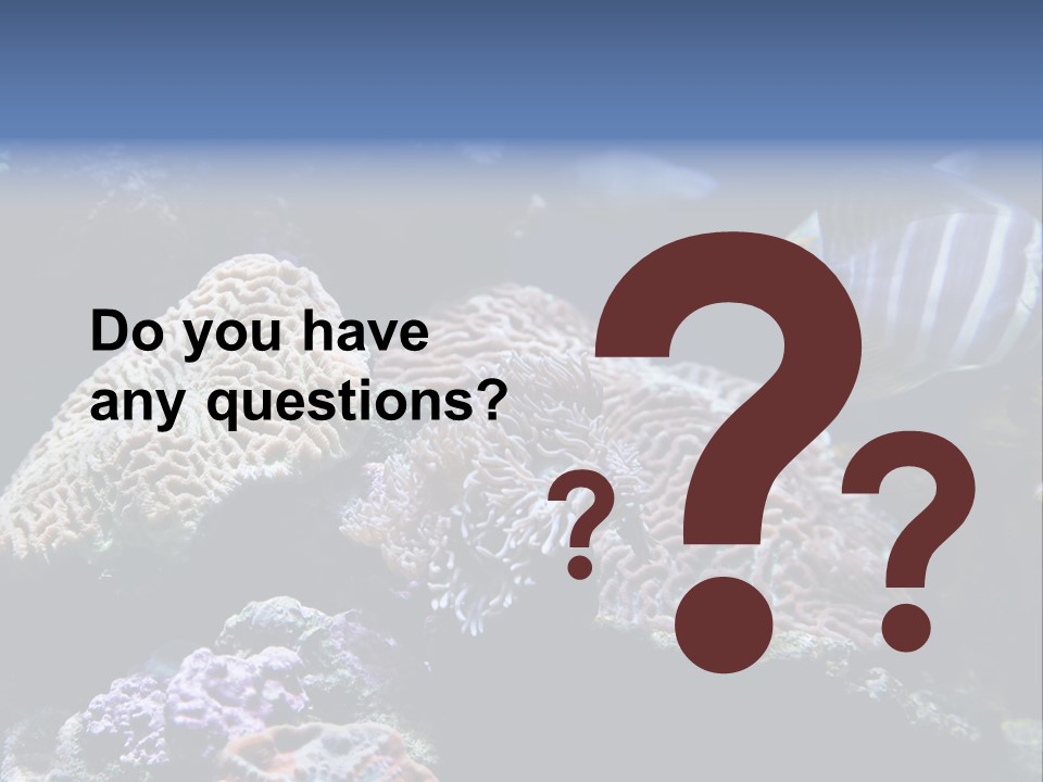 Marine Reef Structure PowerPoint Template