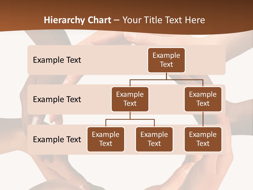 A Group Of Hands Holding Each Other In A Circle PowerPoint Template