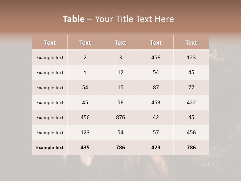 Studio Back Light PowerPoint Template