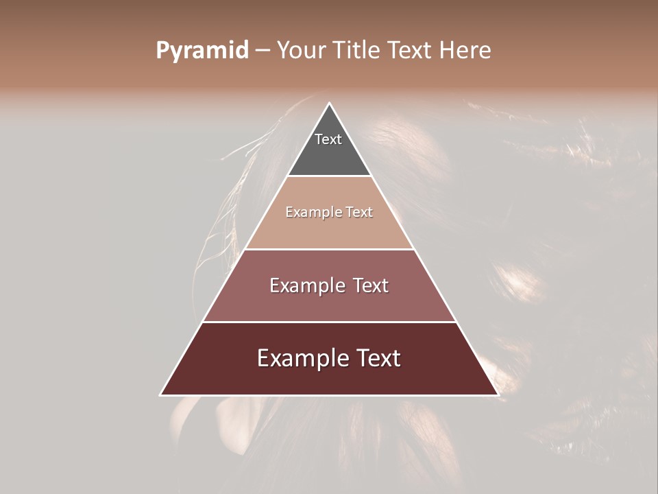 Studio Back Light PowerPoint Template