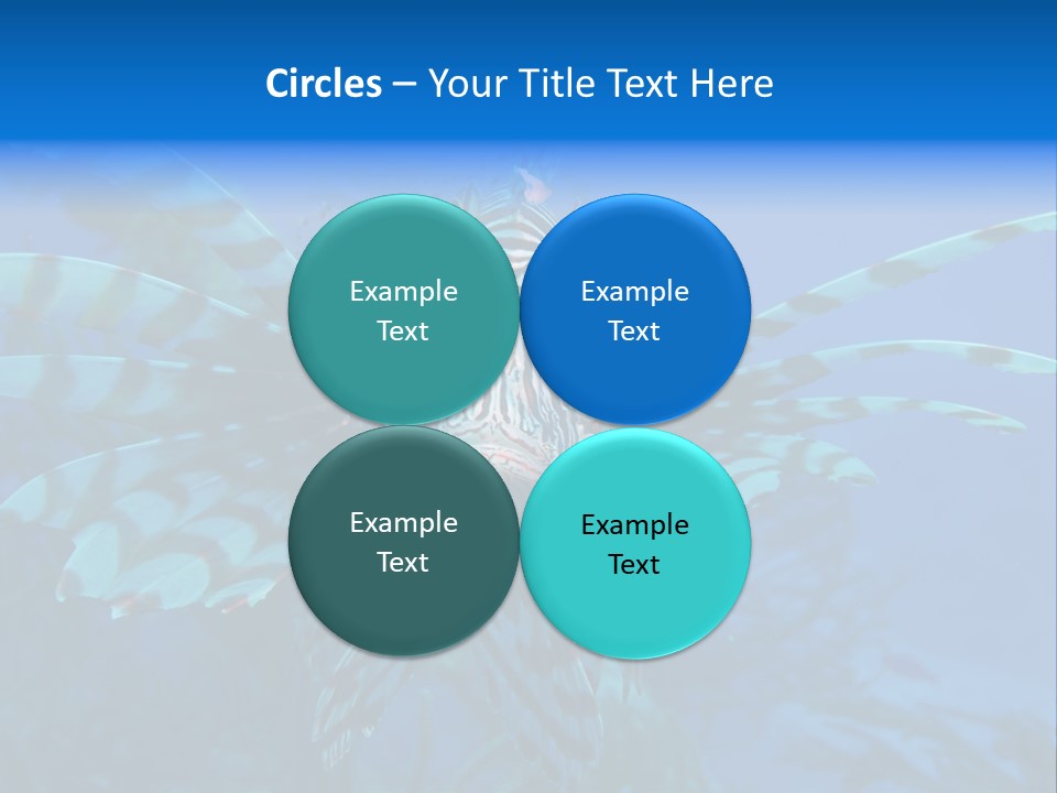 Lionfish Fish Freeport PowerPoint Template