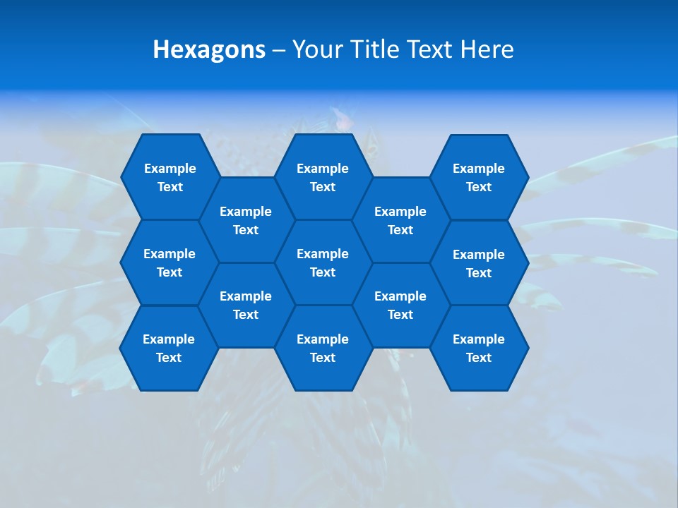 Lionfish Fish Freeport PowerPoint Template