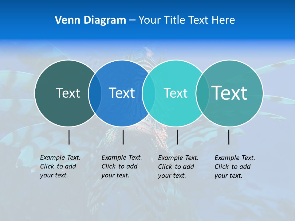 Lionfish Fish Freeport PowerPoint Template