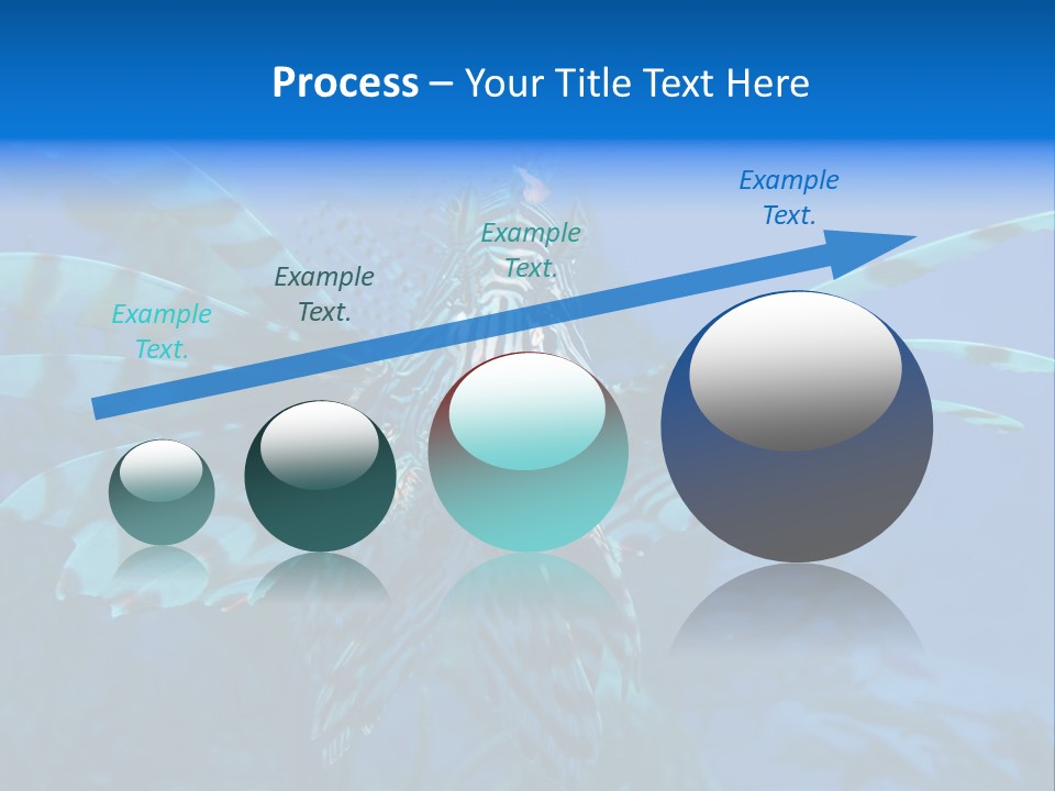 Lionfish Fish Freeport PowerPoint Template