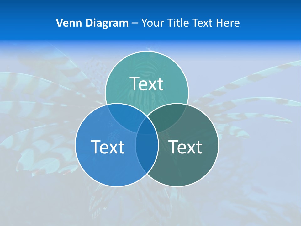 Lionfish Fish Freeport PowerPoint Template