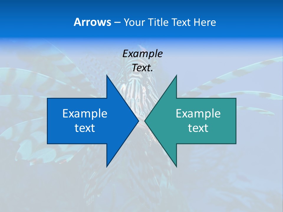 Lionfish Fish Freeport PowerPoint Template