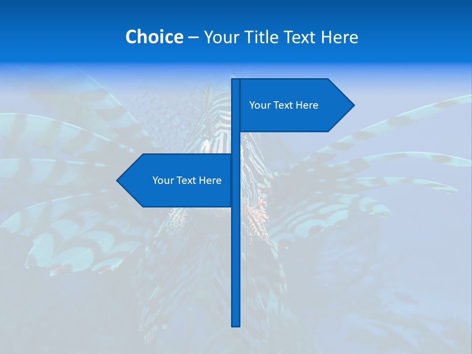 Lionfish Fish Freeport PowerPoint Template