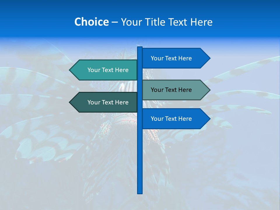 Lionfish Fish Freeport PowerPoint Template