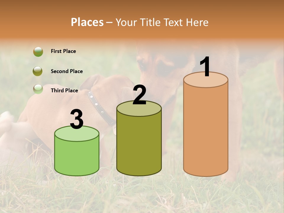 A Couple Of Dogs That Are Standing In The Grass PowerPoint Template